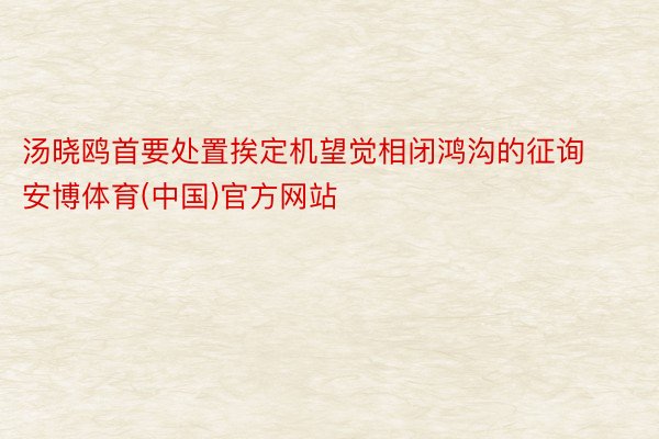 汤晓鸥首要处置挨定机望觉相闭鸿沟的征询安博体育(中国)官方网站