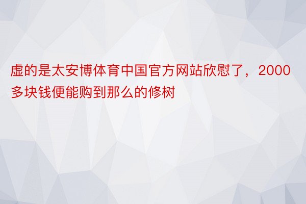 虚的是太安博体育中国官方网站欣慰了，2000多块钱便能购到那么的修树